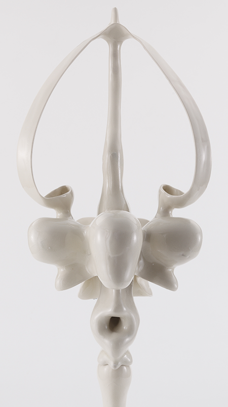 biographyイメージ画像